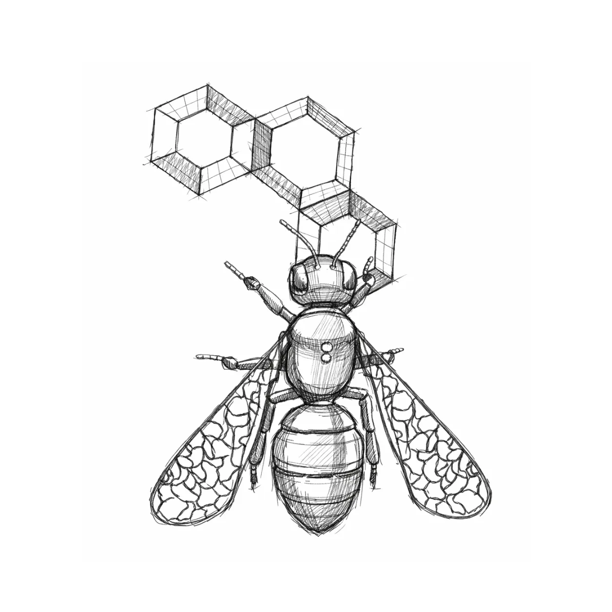 Bee — 30 × 30 × 30 cm
