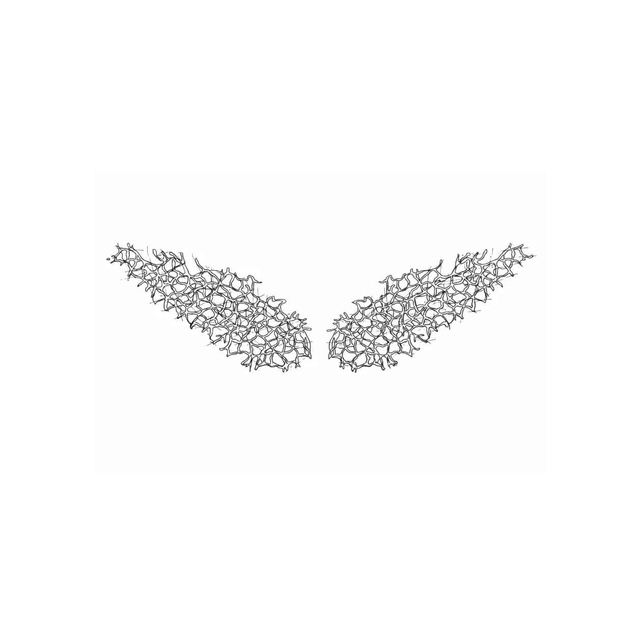 Asas ( Fios ) — 180 × 53 × 10 cm
