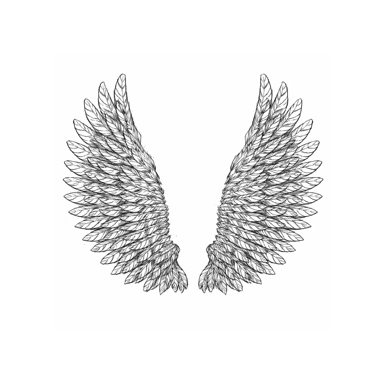 Asas ( I ) — 184 × 170 × 10 cm