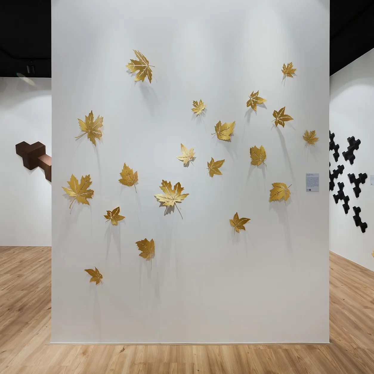 Maple — vista 3