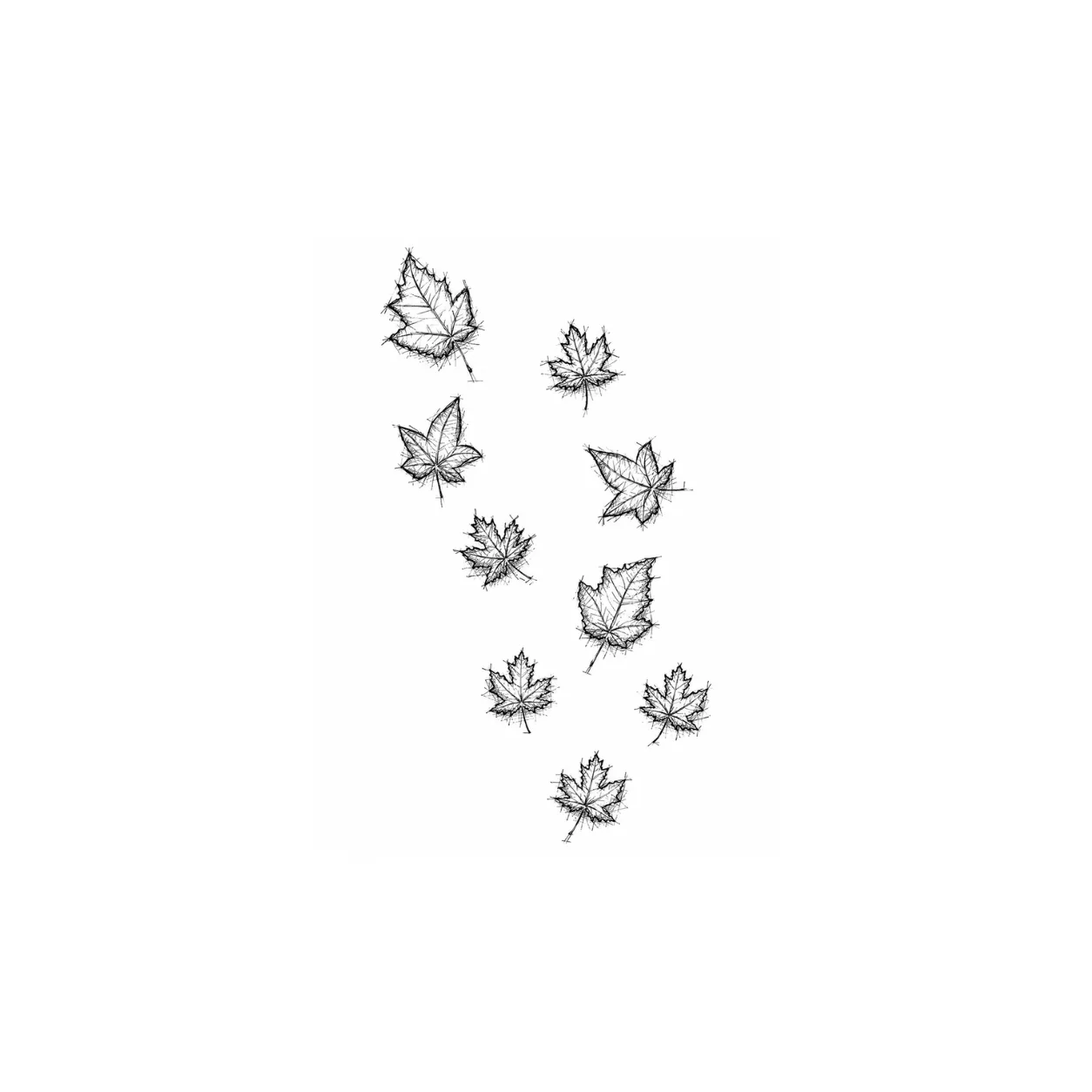 Maple — 65 × 120 × 29 cm