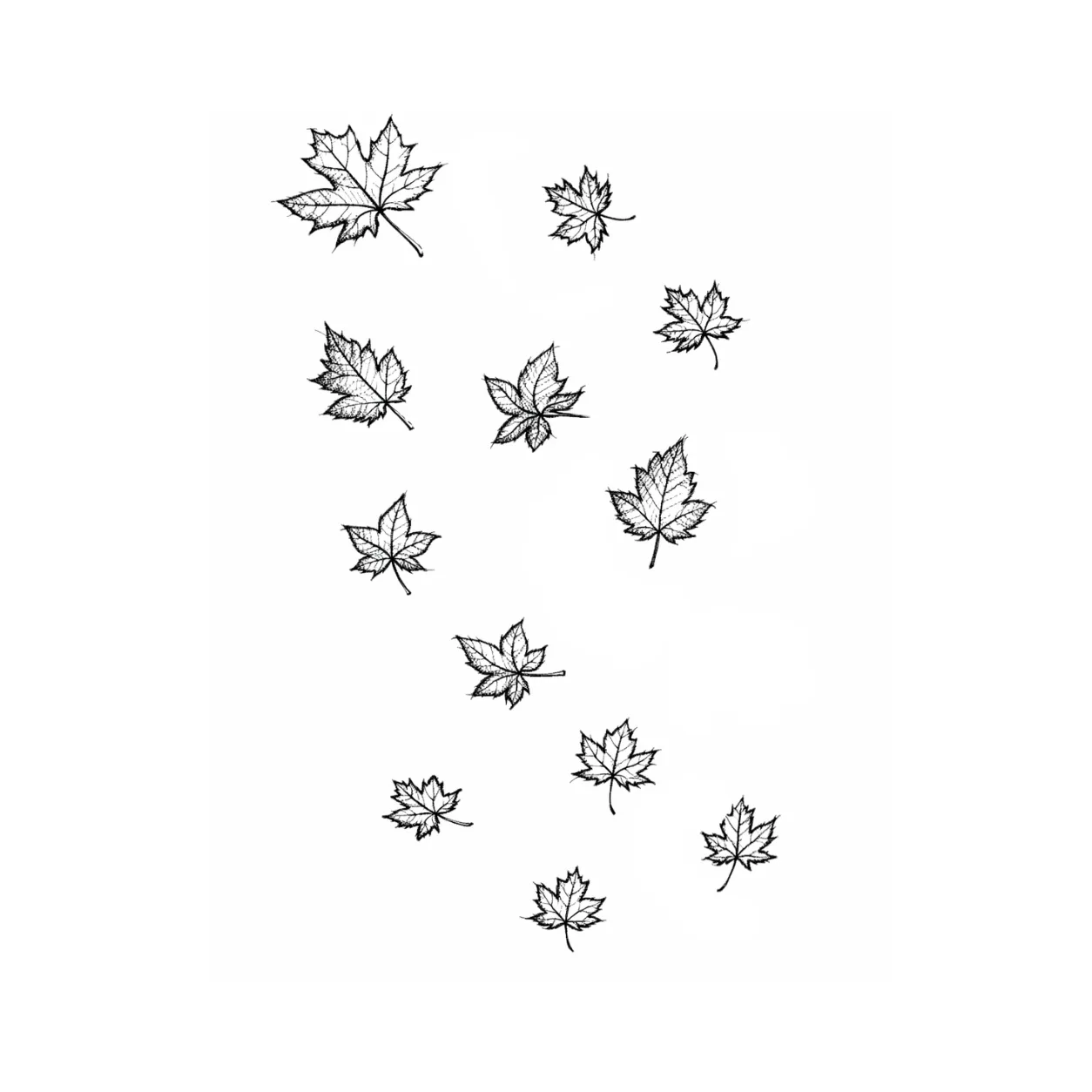 Maple — 75 × 132 × 30 cm