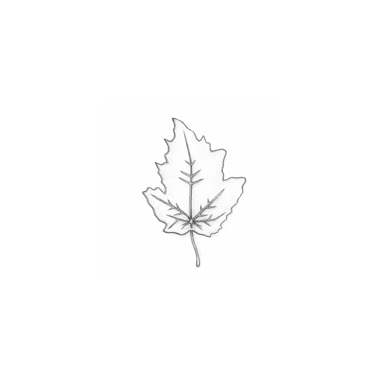 Maple — 23 × 16,5 × 3 cm