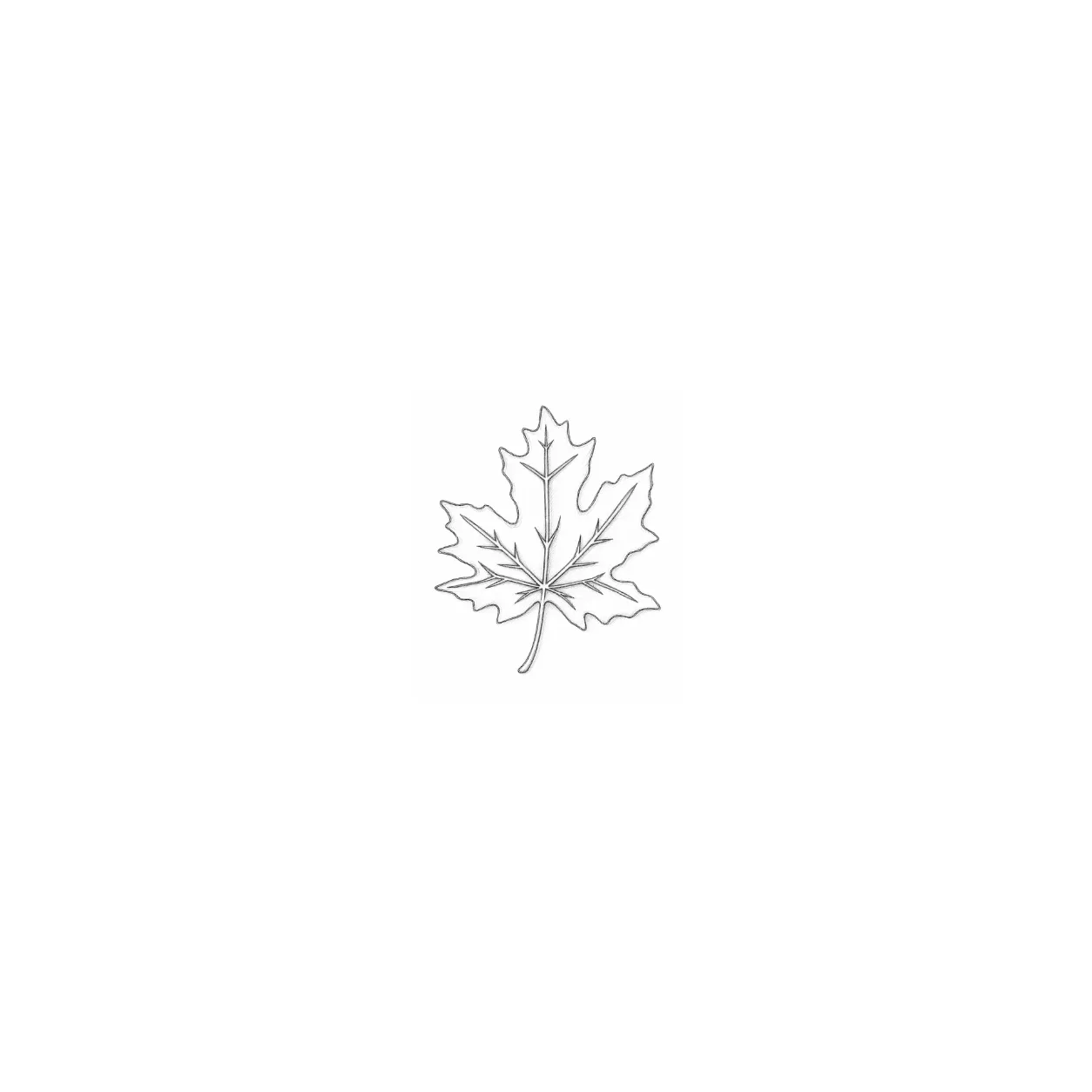 Maple — 15,6 × 12,5 × 3 cm
