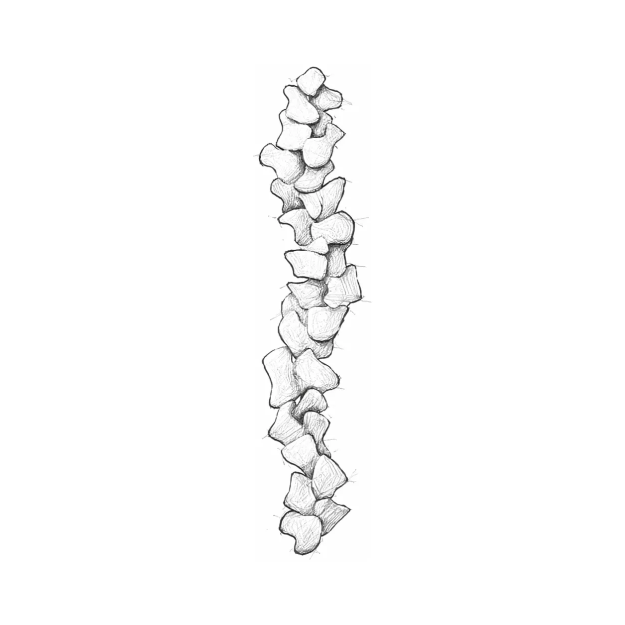 Armor — 37 × 140 × 15 cm